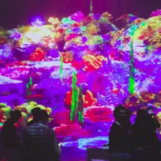 Claudia Maté presenta Down the shining hole