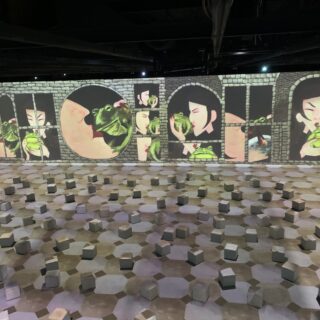 LAIA TARRAGÓ presenta ELS CIGNES SALVATGES